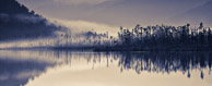 Morning Mist, Lake Wahapo / 1