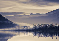 Morning Mist, Lake Wahapo / South Westland, NZ